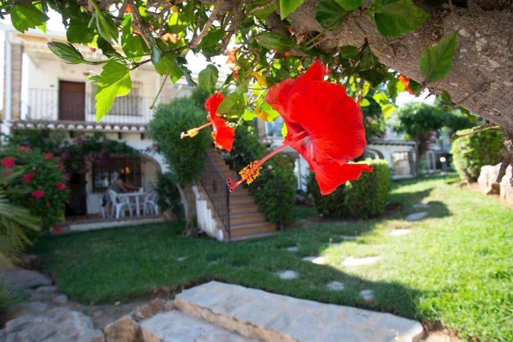 Casa En Denia Con Piscina Y Jardin Apartment Exterior photo